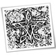 Edge_god_s_compass