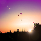 Billede_1745543471