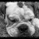 2010-05-15_13.21.21_edit0(2)