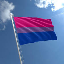 bi sexual flag Bi sexual flag