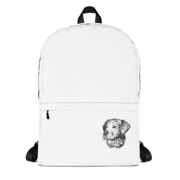 google store backpack
