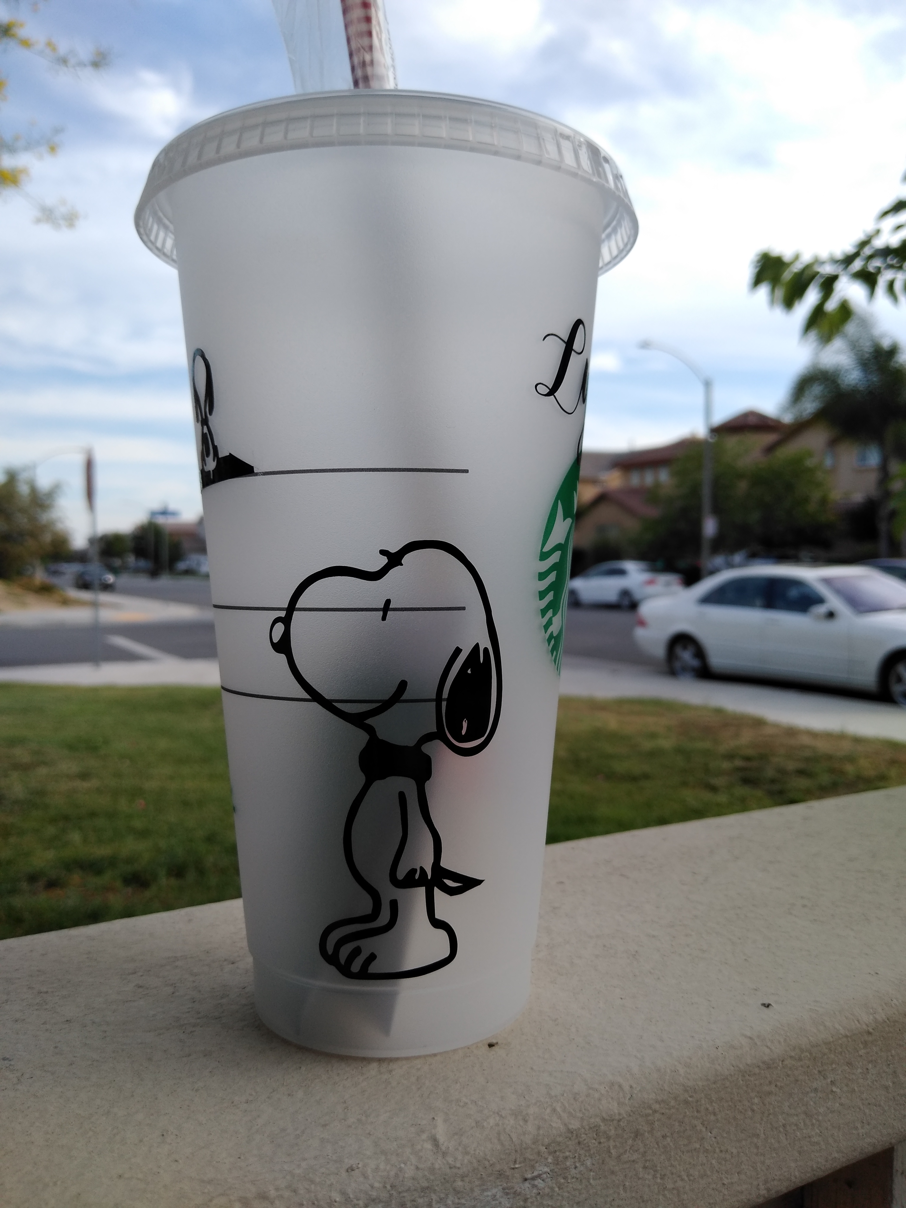 Starbucks reusable cold drink cups Charlie brown and Snoopy Theme